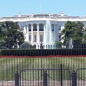 Meet your Posher, Ben